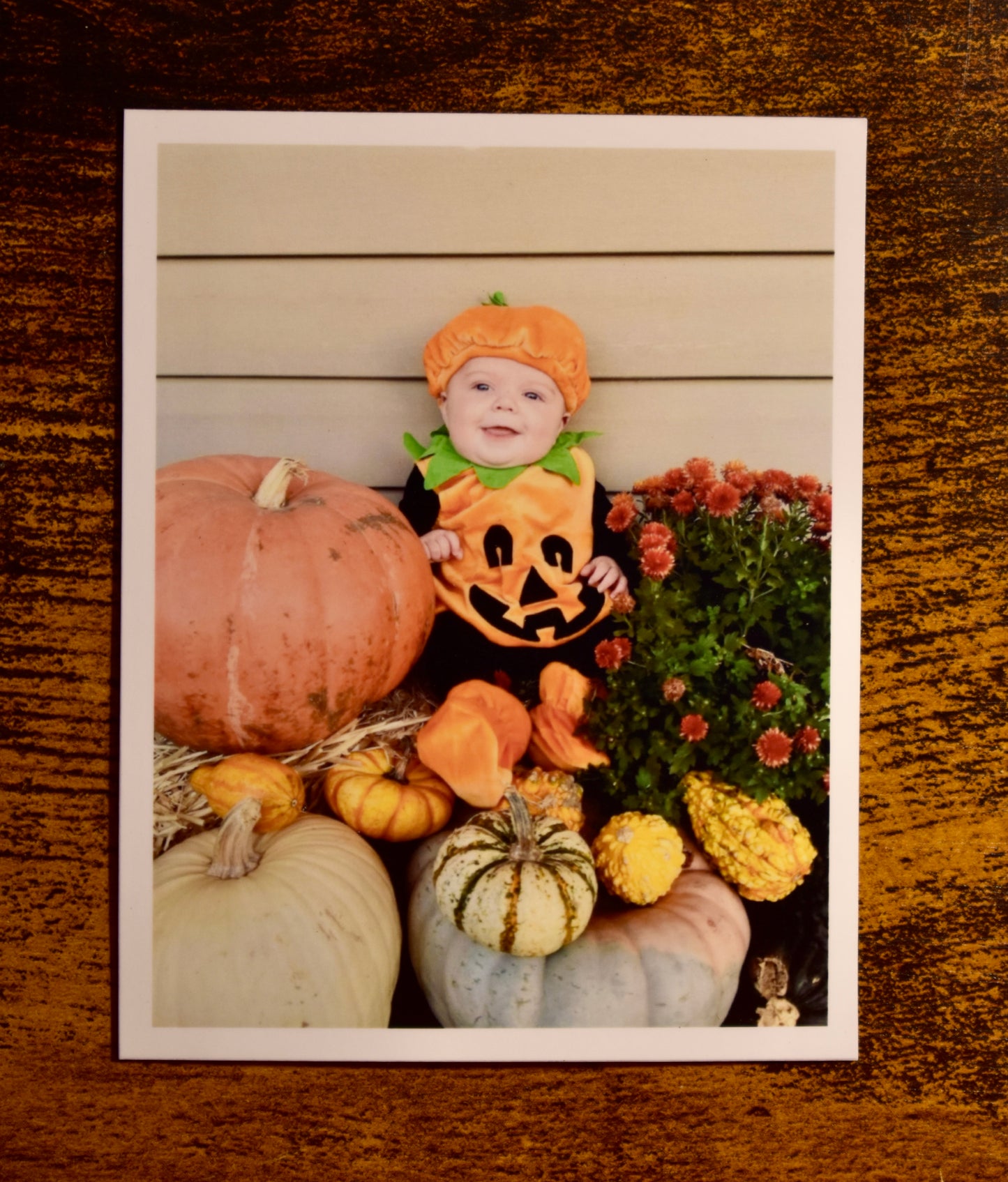 Personalized Photo Magnets